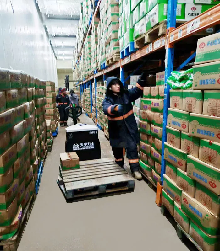 Cold Storage